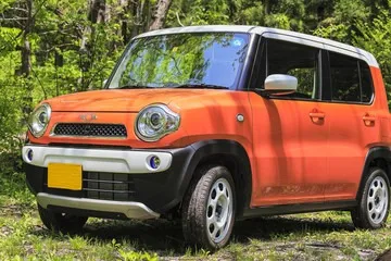 軽自動車をプロが査定